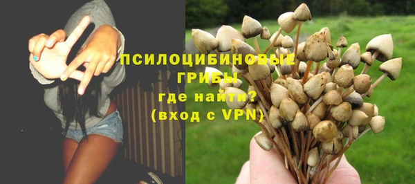 дурь Алексеевка
