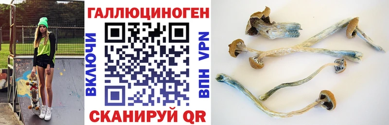 Псилоцибиновые грибы ЛСД  Елизаветинская 